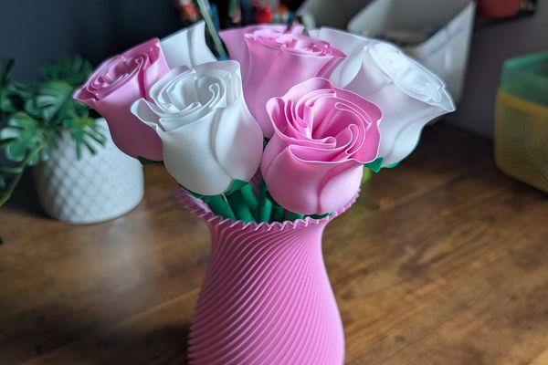 Rosen-Vasen-Bundle